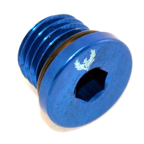 Straight Thread O-ring Plug