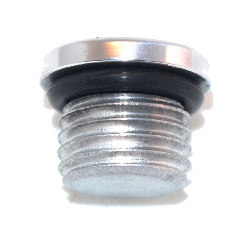 Straight Thread O-ring Plug